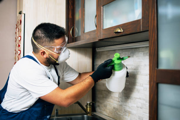 Best Affordable Pest Control Services  in Toppenish, WA
