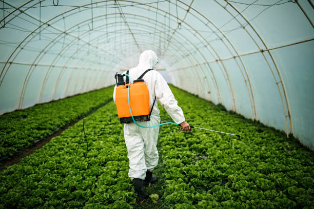 Best Mosquito Control Services  in Toppenish, WA