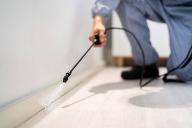 Best Local Pest Control Services  in Toppenish, WA