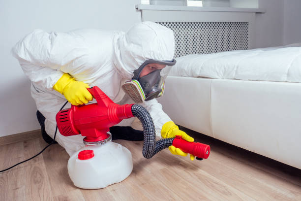 Best Wasp Removal Services  in Toppenish, WA