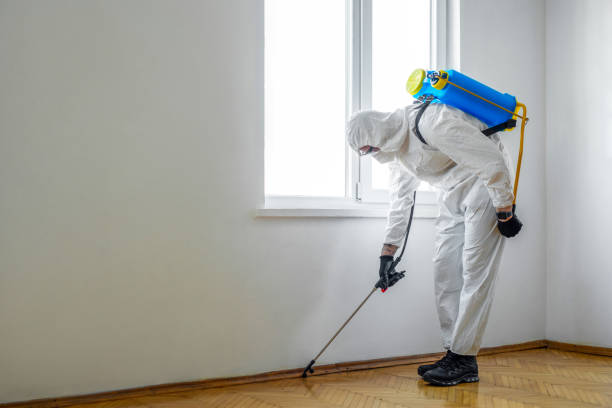 Best Wasp Removal Services  in Toppenish, WA