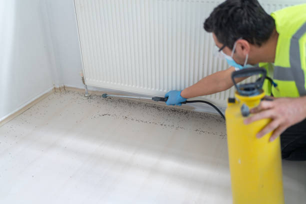 Best Bed Bug Extermination  in Toppenish, WA
