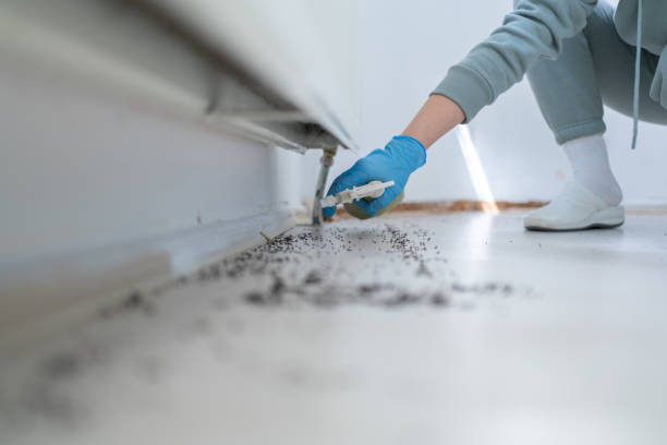 Best Mosquito Control Services  in Toppenish, WA